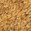пшеница 5, 4 и 3 классы в Тюмени